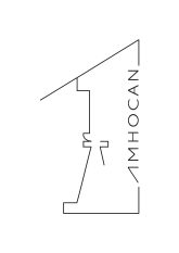 LOGO AMHOCAN_page-0001